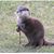 Dennis Casey's profile image