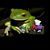 Mandie Gatchel's profile image