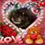 Yolanda Zapata's profile image