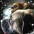 Janice Foley Brittingham's profile image