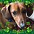 Cindie Naron-Turpin's profile image