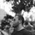 Eslam A. Abdelsabour's profile image