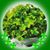 Kathleen Casey's profile image