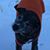 Stephanie Edgeton Kapfer's profile image