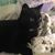 Nancy R Harrison's profile image