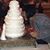 Susan Caravelli Contraveos's profile image