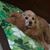 Jackie Fortin Stuart's profile image