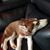Ben-Kasee Primmer's profile image
