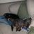Stephanie Miller Tejada's profile image