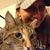 Nancy Viglione Werley's profile image