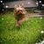Gary R Putaansuu's profile image