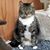 Sarah Jackson's profile image