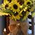 Debra Bowman's profile image