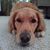 Mel Kreeger Colvin's profile image