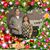 Edna Johansen's profile image