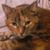 Zoe Knox's profile image