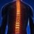 Awender Chiropractic's profile image