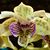 Lee Ann Menard Grush's profile image