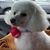 Geri Lehan Glaser's profile image