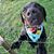 BethandDave Slaton's profile image