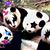 Dianne Bradshaw's profile image
