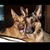 Tammy Eyster's profile image