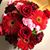 Rhonda Houk Long's profile image