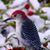 Maria Alejandra Salazar's profile image