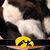 LuAnn Taylor Bone's profile image