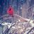 Sharon Hartweck's profile image