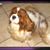 Linda Omodt's profile image