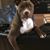 Brenda Miller Ollie's profile image
