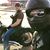 Rob Mears's profile image
