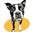 Mantooth Marketing's profile image