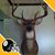 Larry Resar's profile image