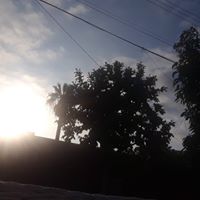 Msessie Hollis's profile image