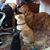 Sherre Baker's profile image
