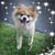 Christine Anderson-Rappleyea's profile image