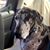 Linda Landers's profile image