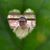 Samantha Liggett's profile image