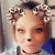 Kimberley More's profile image