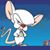 Rob Doyle's profile image
