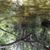 Tammy Simmons's profile image