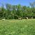 Rhonda Rabourn Herrick's profile image