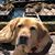 Braxton Wulff's profile image