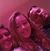 Patricia Carmona-Eggers's profile image