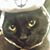 Denise Whitehead's profile image