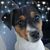 Cindy Kolar Lease's profile image
