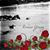 Sandra Hamby's profile image