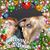 Laurie McDole's profile image
